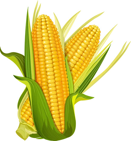 Feature Image